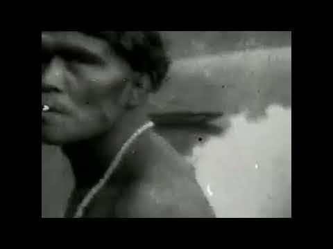 Trailer Os Mortos Resistirão Para Sempre H 264